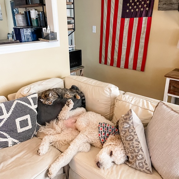 Meet your Posher, Shanna - Picture 3 of 4